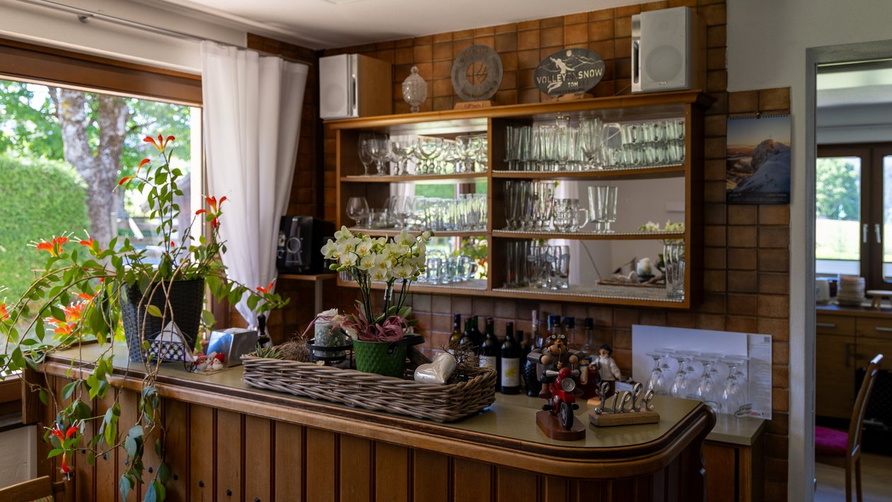 Stilvolles Barinterieur mit Pflanzen Gemütliche Homebar mit Holztheke, dekorativen Pflanzen und Glaswaren auf Regalen.