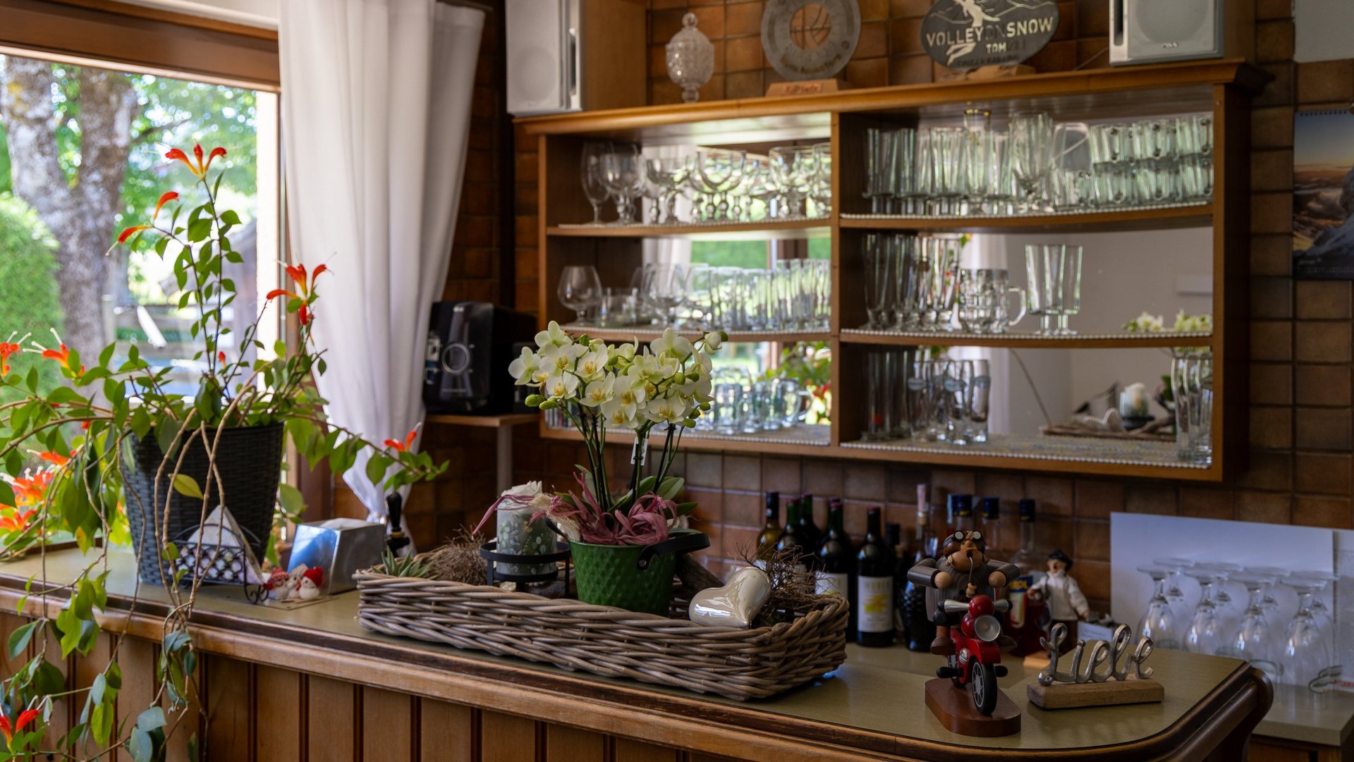 Stilvolles Barinterieur mit Pflanzen Gemütliche Homebar mit Holztheke, dekorativen Pflanzen und Glaswaren auf Regalen.